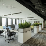 Office Interior Designers